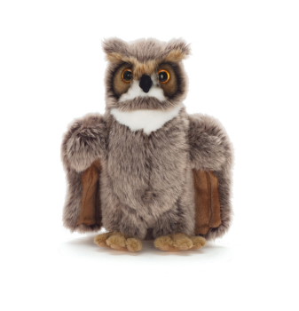 Owl, small