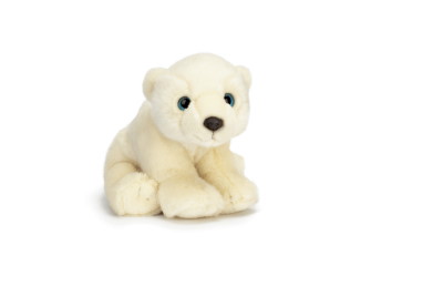 Polarbear, sitting, small