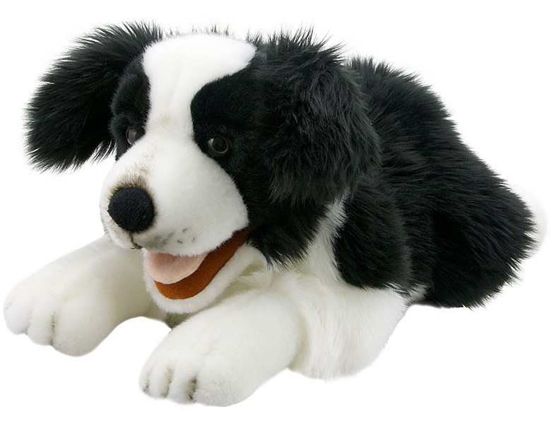 Playful Puppies