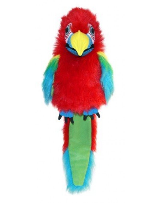 Large Birds