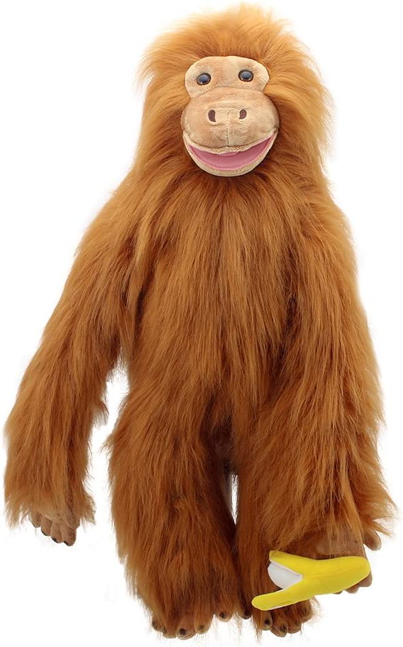 Large Primates
