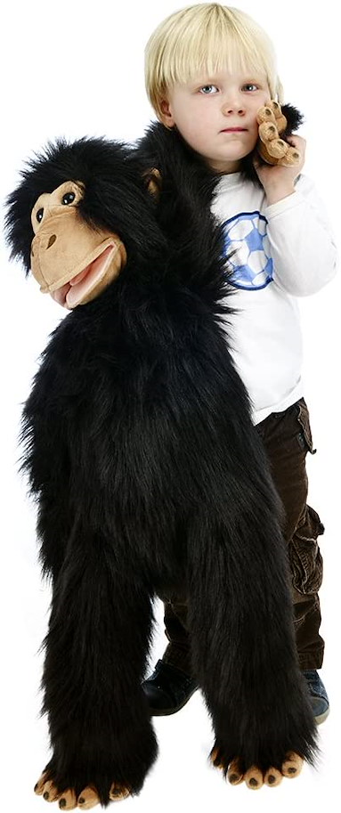 Large Primates