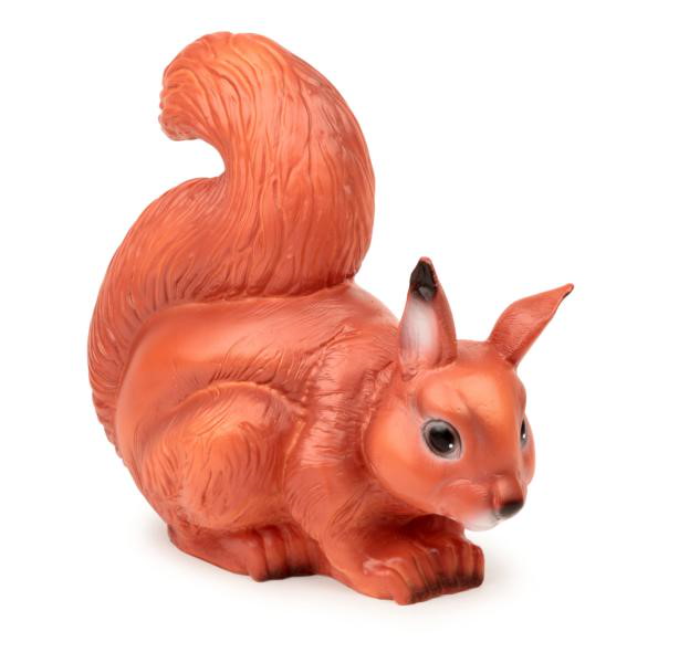 Nachtlicht Eichhörnchen