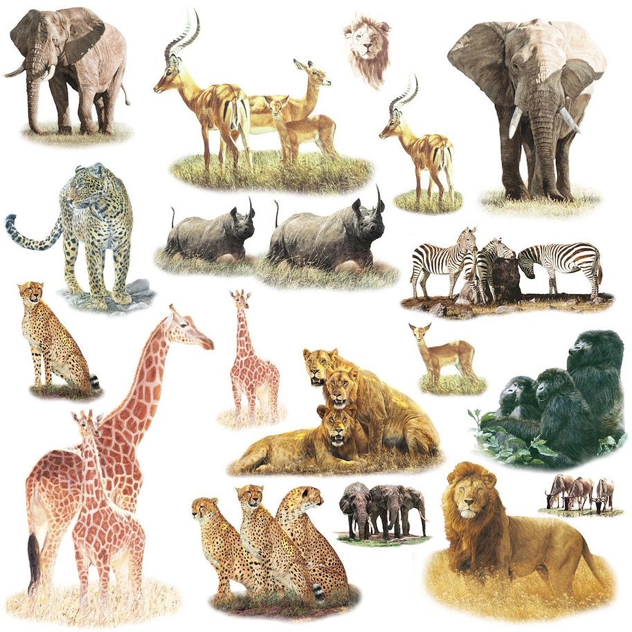 Zootiere
