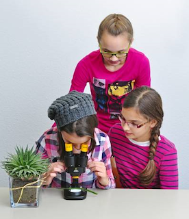 2310520B_9119000_3.png