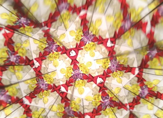 D7FDF154_60861.jpg