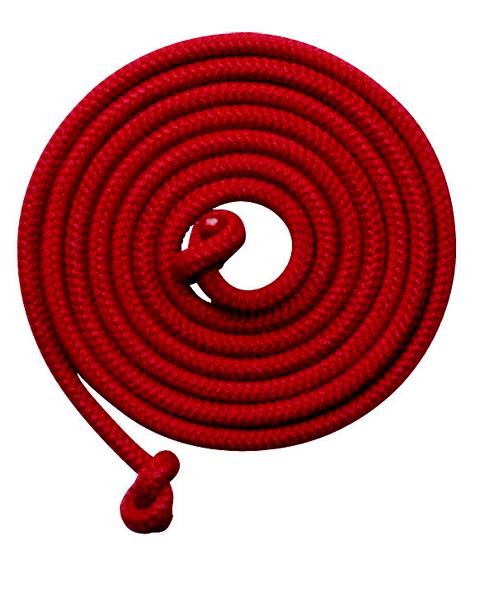 Schwingseil