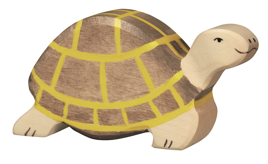 Schildkröte