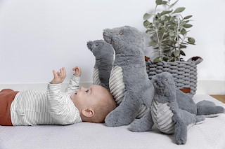 170B9237_Seal-Sidney-HR.JPG