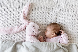 F11C23D1_Pink-Rabbit-Richie-HR.JPG