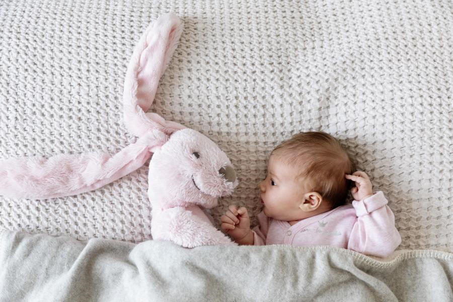 Giant Pink Hase Richie