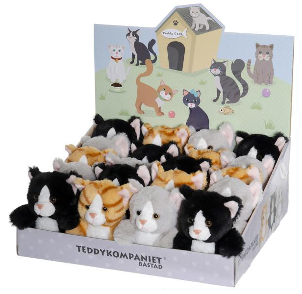 Teddy Cats, Cats, 3 different