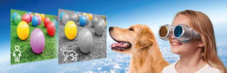 A44B9EAB_Girl-Dog-view-96dpi.jpg
