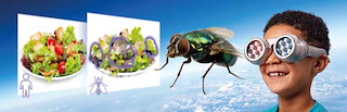 D1B0D992_Boy-Fly-view-96dpi.jpg