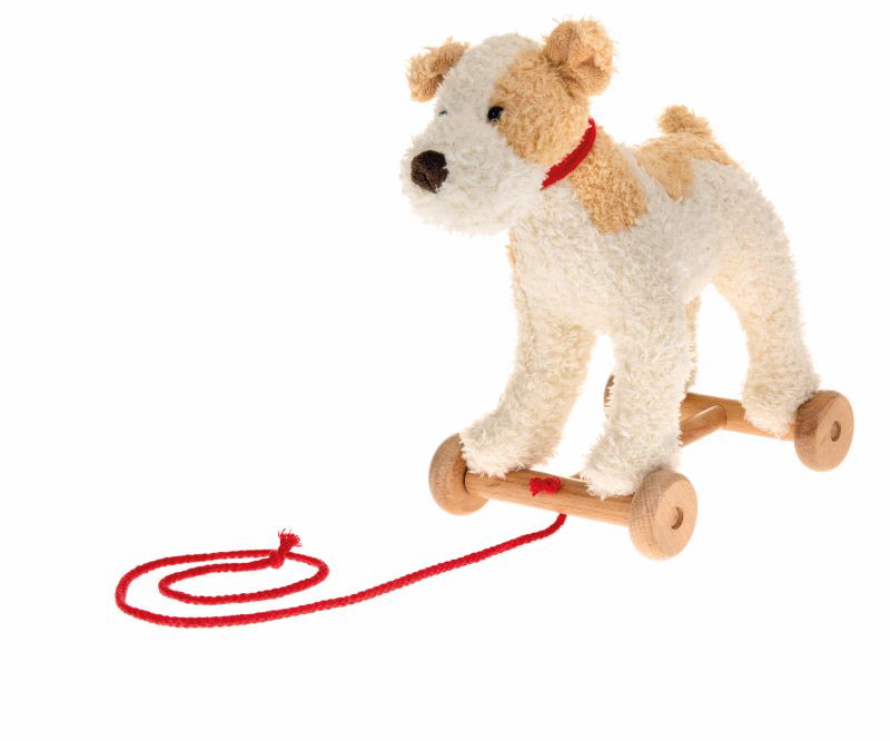 Nachzieh-Hund Elliot