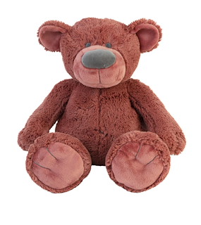 FE60D06C_133250 Bear Bobbi.JPG