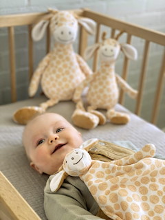 C34C0957_Giraffe Gessy.JPG