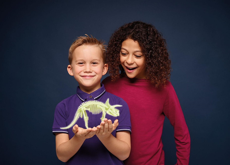 Triceratops Skelett Glow in the Dark