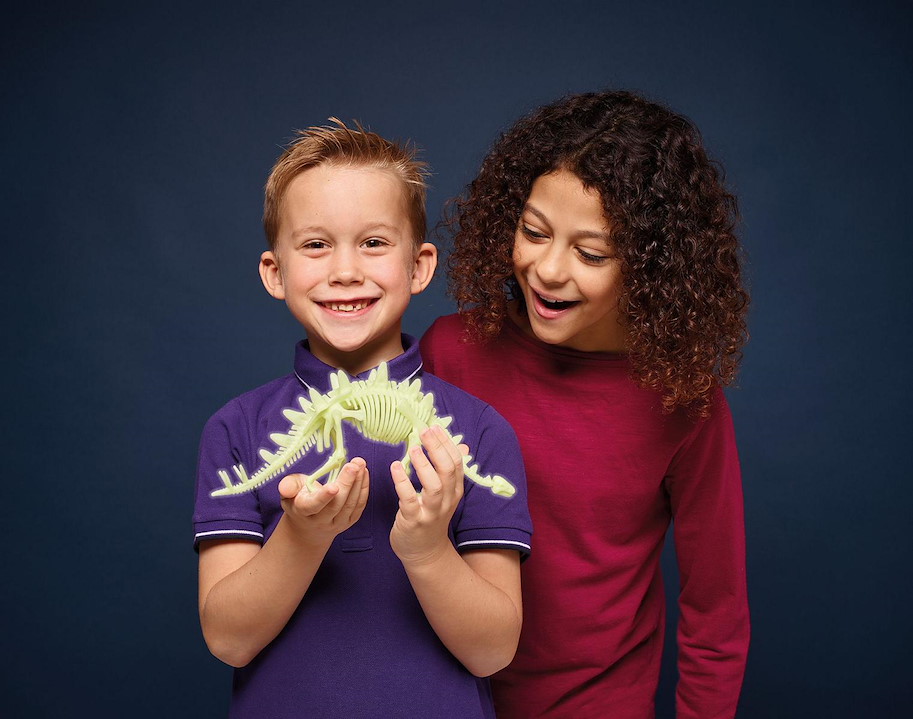 Stegosaurus Skelett Glow in the Dark
