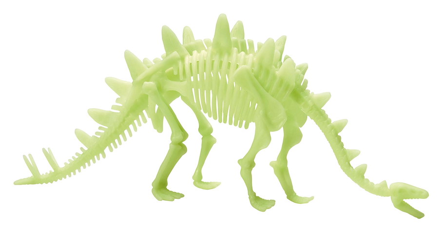 Stegosaurus Skelett Glow in the Dark