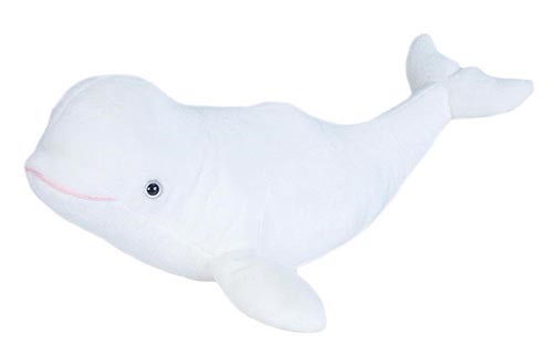 Plüsch Beluga Wal Cuddlekin