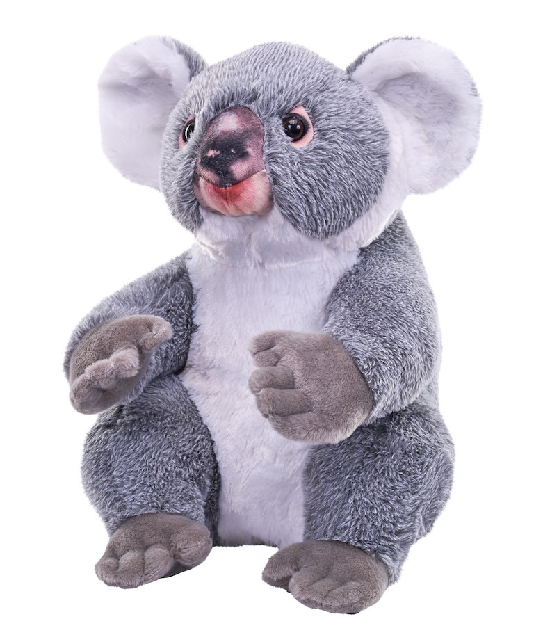 Plüsch Koala Artist