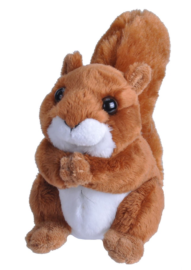 Plüsch Mini Eichhörnchen 13 cm Pocketkins