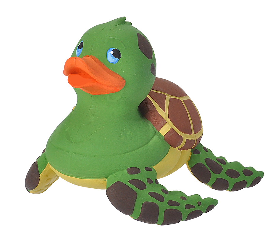 Badeente Meeresschildkröte