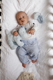 62BA161C_3025_3027_LolliDino_Baby_B_LOW.jpg