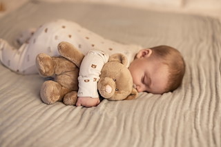 8293FFFF_3083_WilmerBrownBearSleep_LOW.jpg