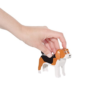 20448884_26735_dogs_de_03.jpg