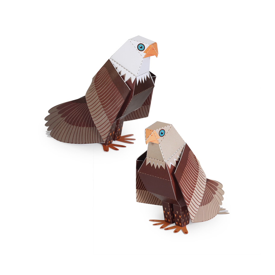 Maxi Weisskopf Seeadler Papierspielzeug