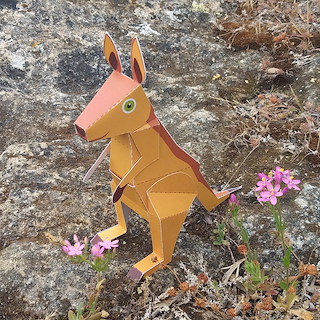 686E92EE_26755_kangaroo_maxi_de_mood.jpg