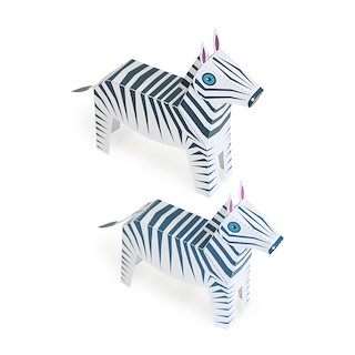 D6202D87_26761_zebra_maxi_de_01_1.jpg