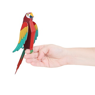 15844954_26763_tropical_birds_de_05_1.jpg