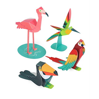 55F1B8D5_26763_tropical_birds_de_01_1.jpg