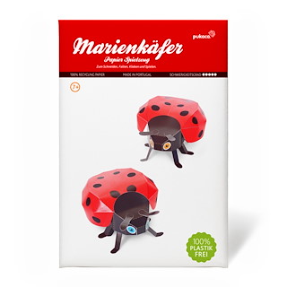973B6327_29704_ladybugs.jpg