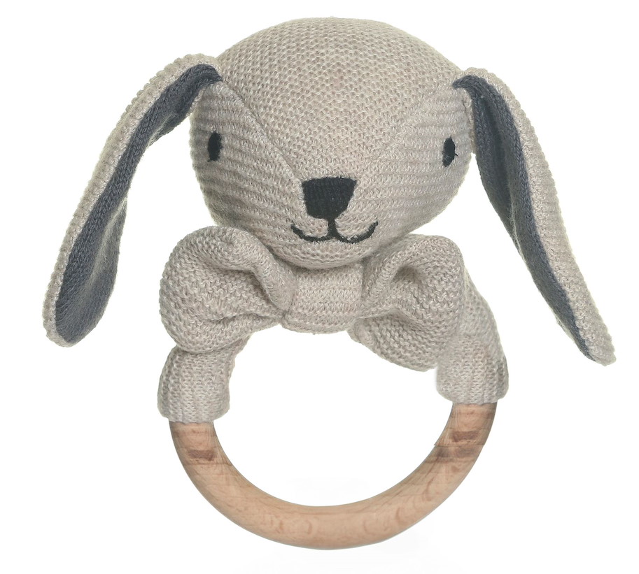 Rassel Hund Teddy Baby