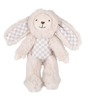 3B5D4569_133930 Mini Rabbit Riddle.jpg