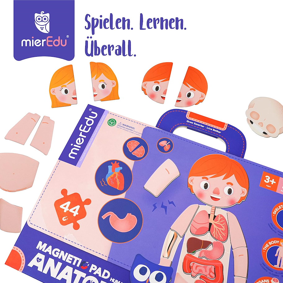 Magnet Pad - Menschliche Anatomie