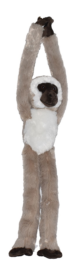 Plüsch hängende Grünmeerkatze