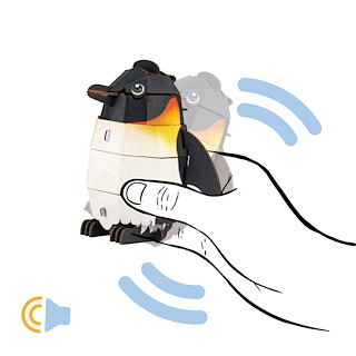 8FD86CAA_PP1121.jpg