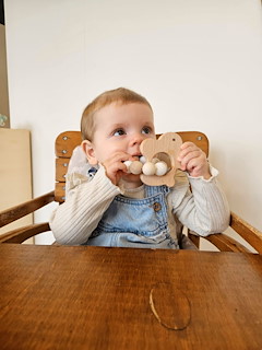 B0073FED_Eco-Friendly-Wooden-Rabbit-Teether.jpg