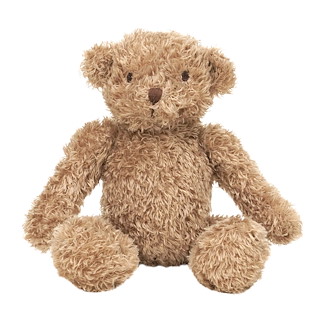 98DAB59A_134180-Bear-Bruno-no.-1.jpg