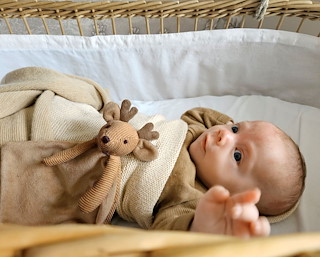 3A21C82F_Moose-Mellow_0.jpg