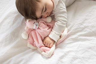 7A060A16_4092_BabyCatBlankieSleep_LOW.jpg