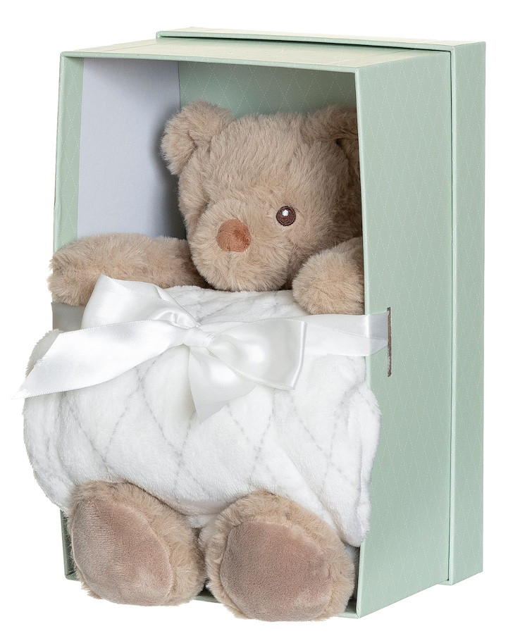 Plüsch Teddy Sven 30  cm mit Fleecedecke