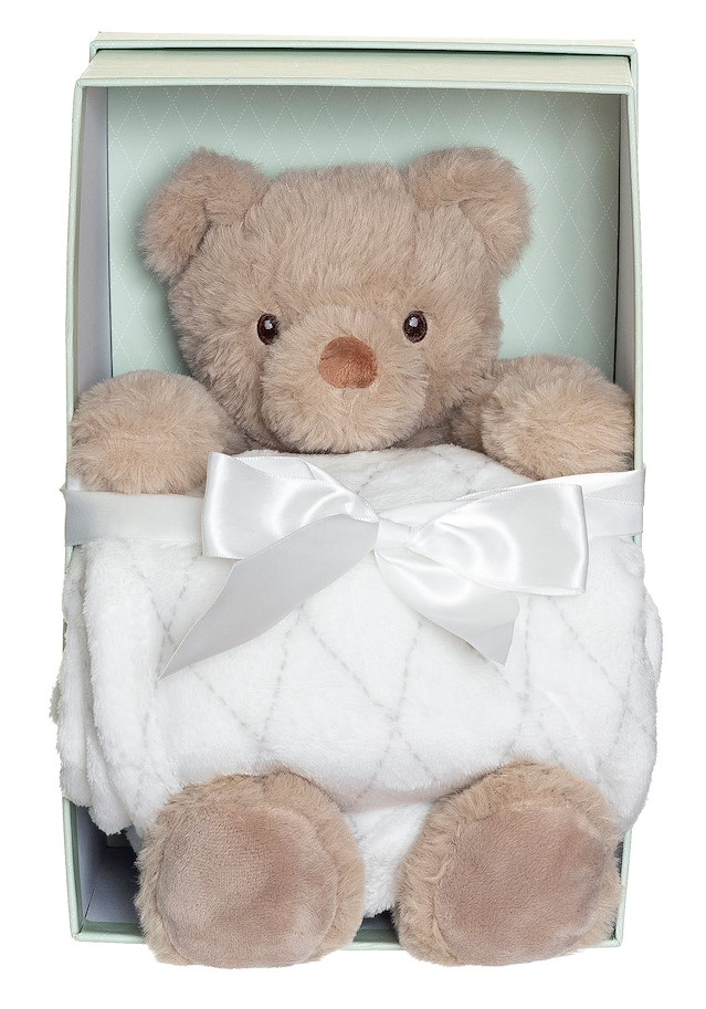 Plüsch Teddy Sven 30  cm mit Fleecedecke