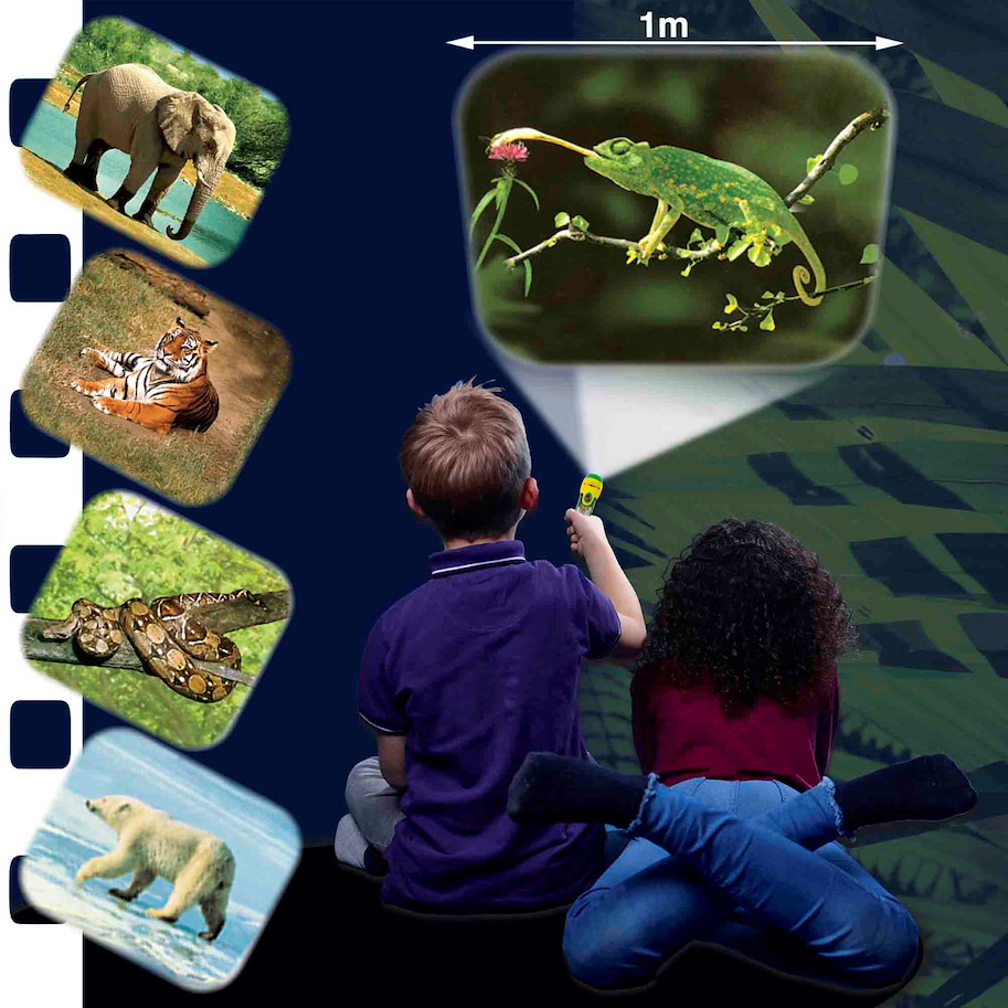 Taschenlampe & Projektor Wilde Tiere