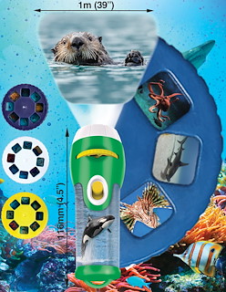 2711BCDB_N5200-NHM-Sea-Creatures-Torch-and-slides-RGB.jpg